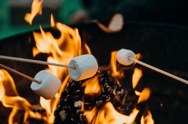 Marshmallows Roasting Over a Fire