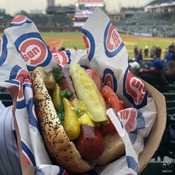 Chicago Style Hot Dog at Wrigley Field