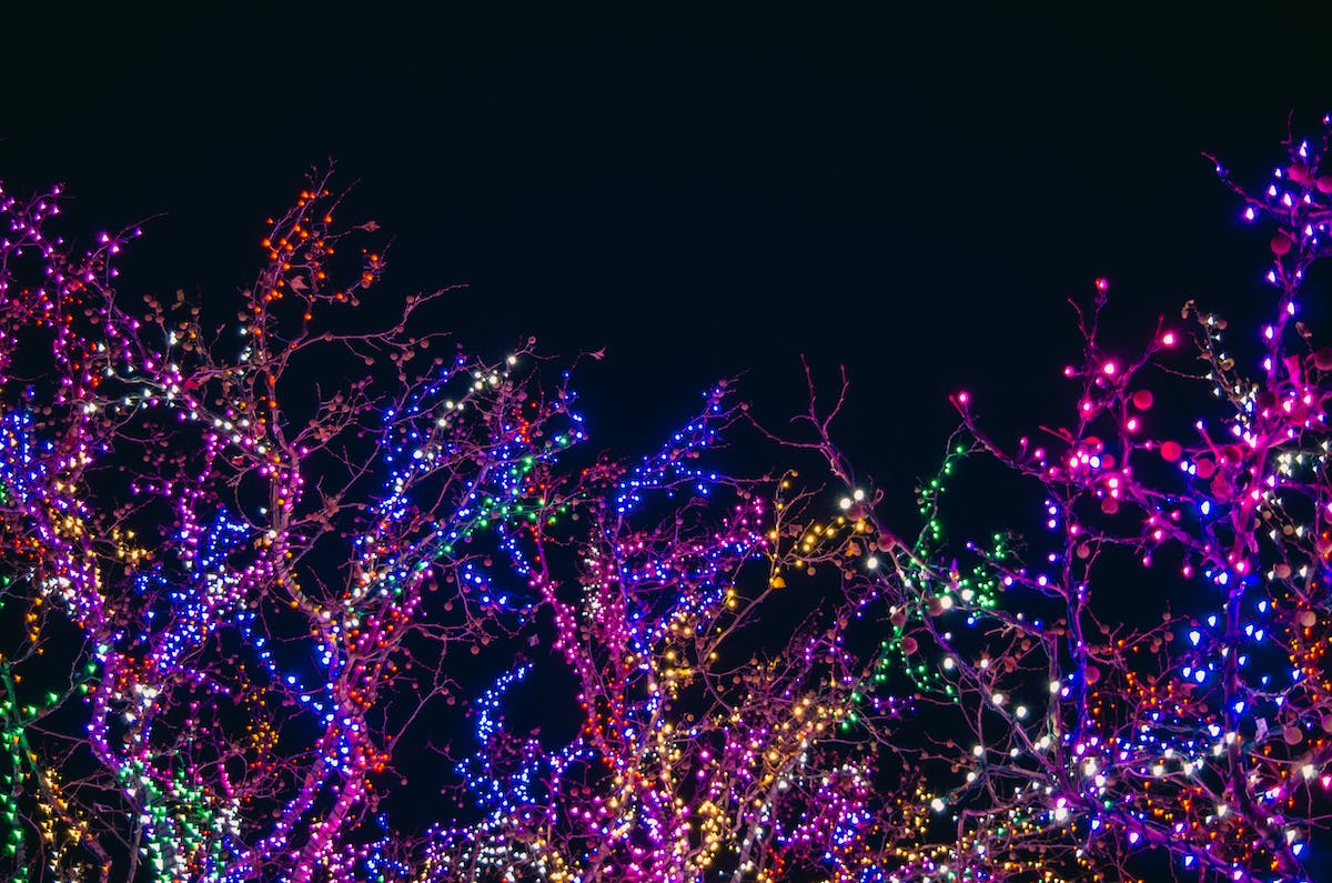 Must See Holiday Lights in Seattle | 2023