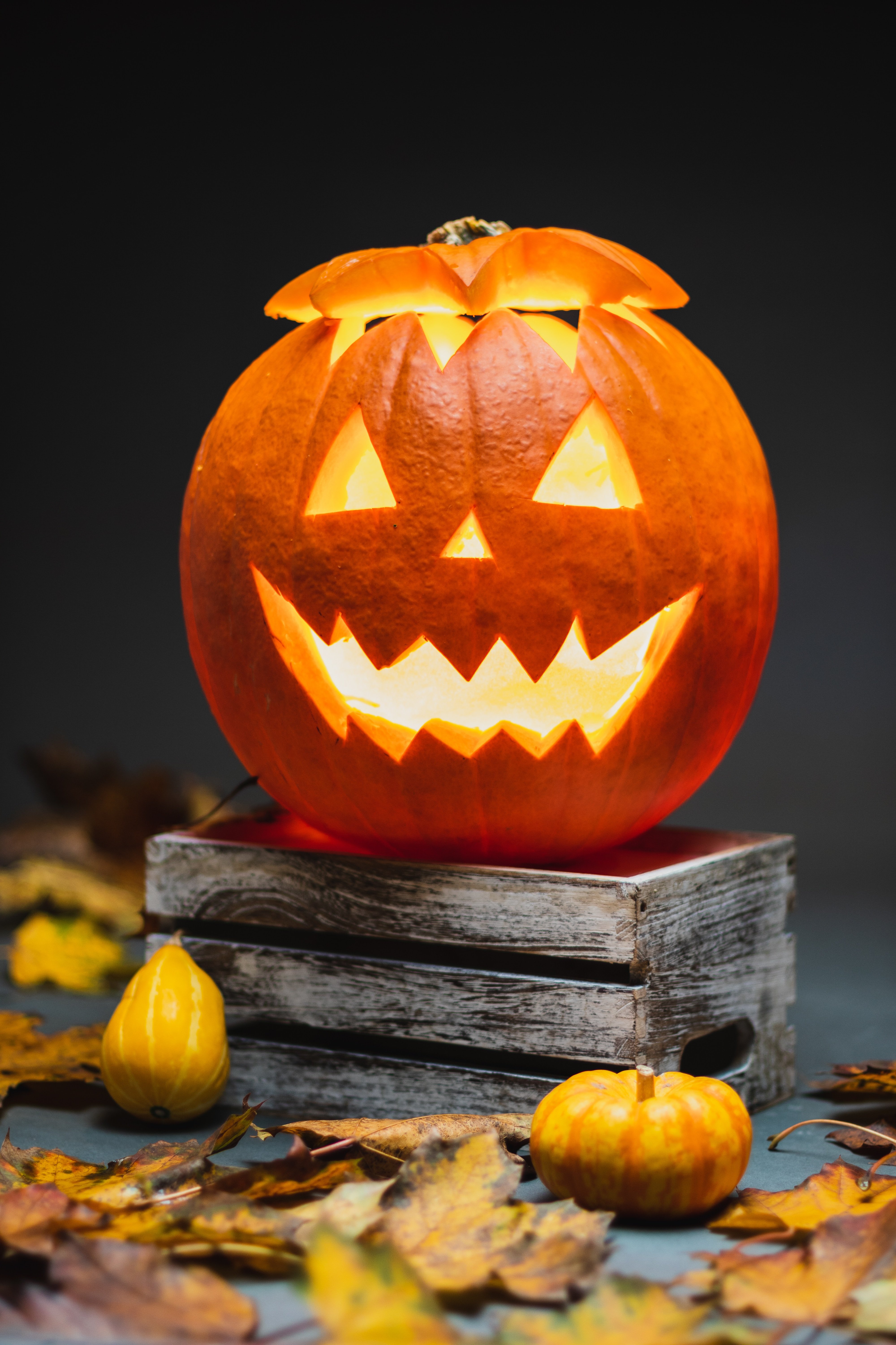 Popular Halloween Events in Seattle (Something for Everyone)