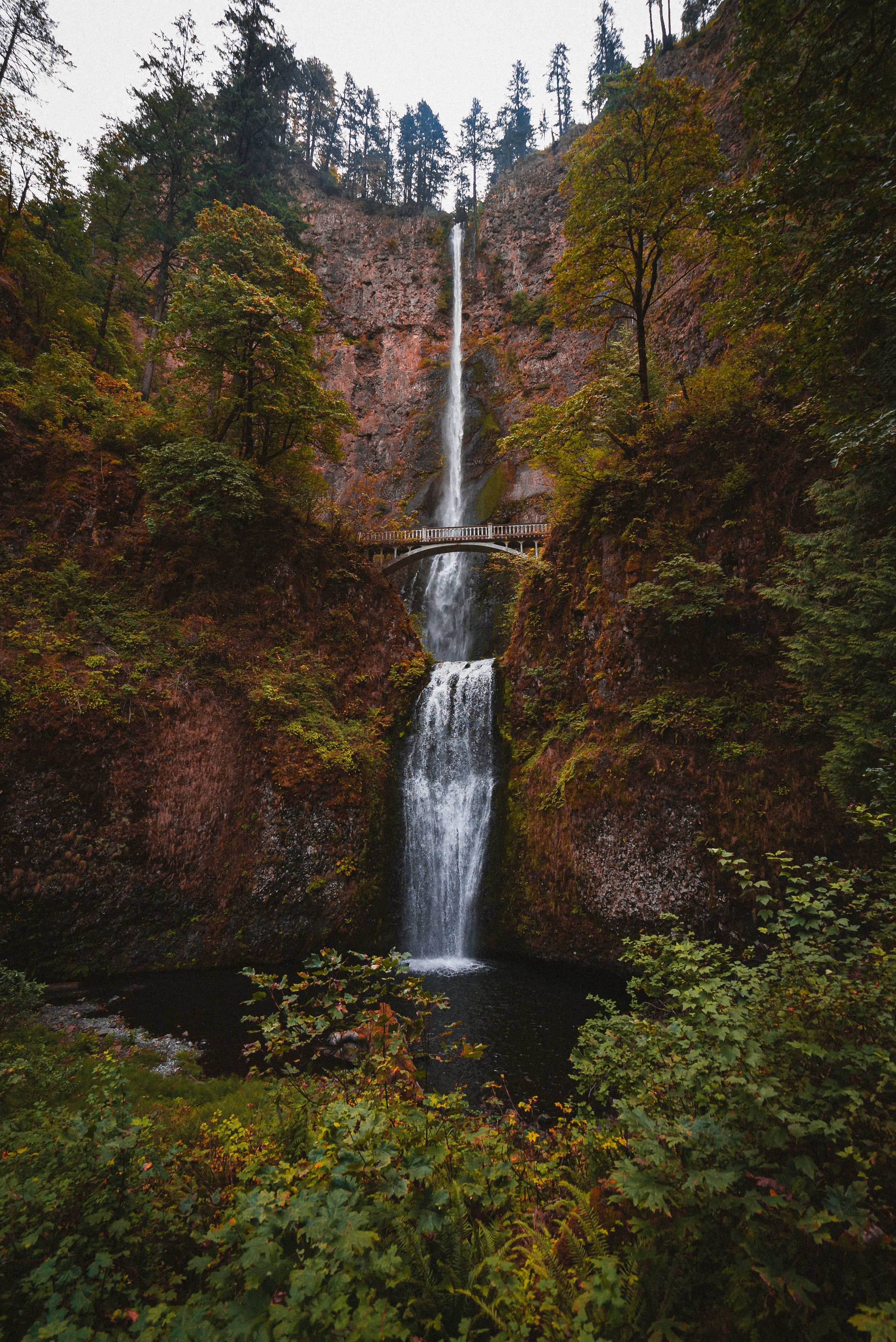 Fall Hiking Tips For Trekking the Pacific Northwest