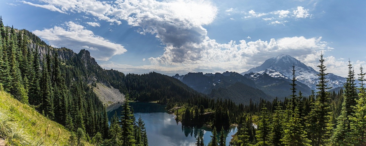 Top 5 Summer Hiking Trails at Mount Rainier National Park